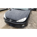 Musata Frontale Peugeot 206 modello Restyling
