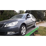 Portiera anteriore sinistra Skoda Octavia seconda serie